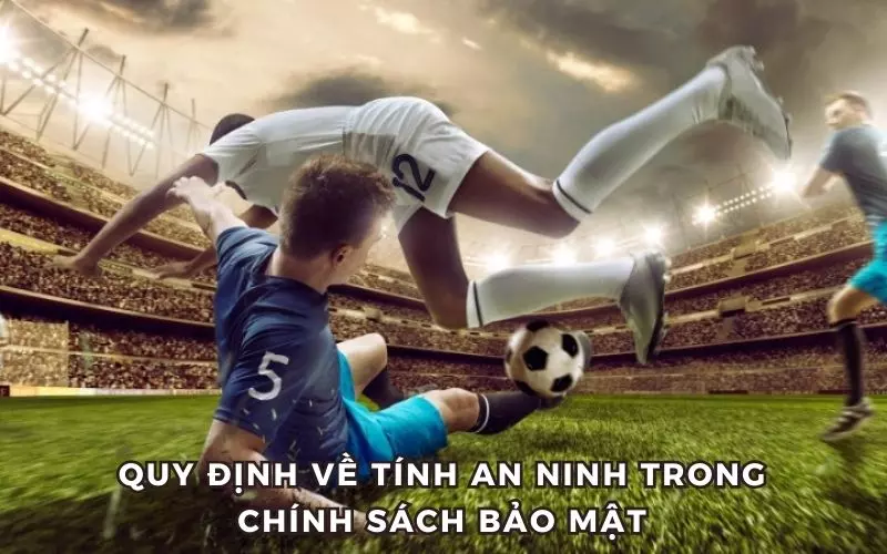 Nghĩa vụ của người xem đối với các quy định bảo mật của Thedotv